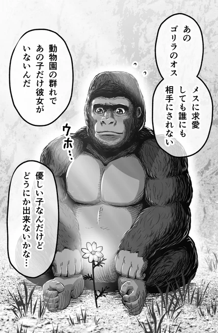 どんどんイケメンになっていくゴリラ(1/3) 