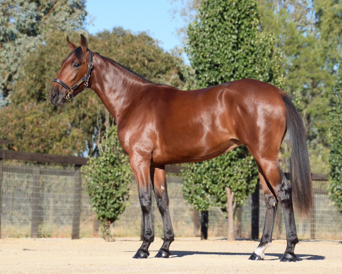 Nick Hooper (@nickhooper70) on Twitter photo 