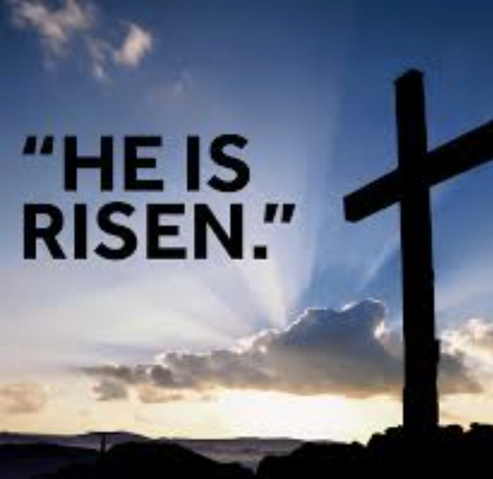 Terry Jack (@nereus172) on Twitter photo 