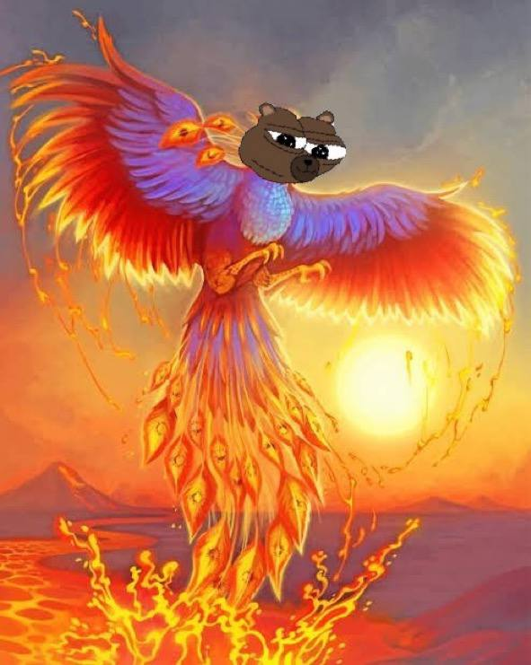 Lord Bo 🏹 tweet media