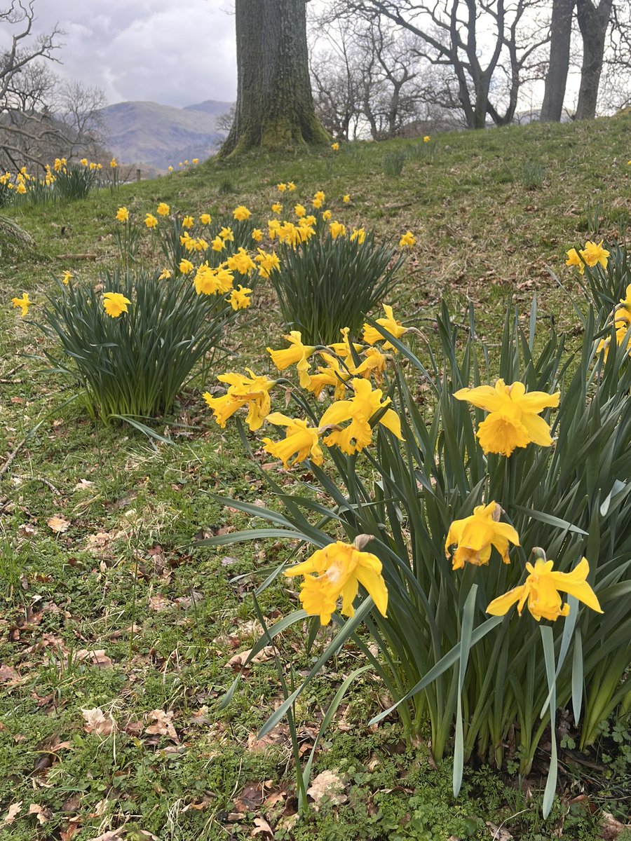 Happy Easter to Christians celebrating in Finchley & Golders Green and around the world. Here in the Lakes where I’m spending a couple of days the place is bursting with new life. As Christians celebrate Christ’s resurrection I hope we can all look forward to a year of hope