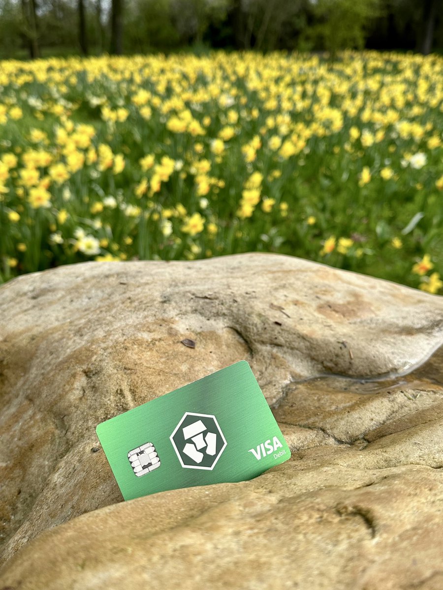 _silverstar88_'s tweet photo. Happy Easter, #CROFam
#BeBlessed #BeABlessing
#LoadedLions #FFTB #cryptocom #bornbrave #visacard #CryptoComPay #cryptocurrency #crypto #cashback #CryptoCommunity #BTC $CRO
#CollectCRO #CollectMemories https://t.co/nrVJoF2l0p