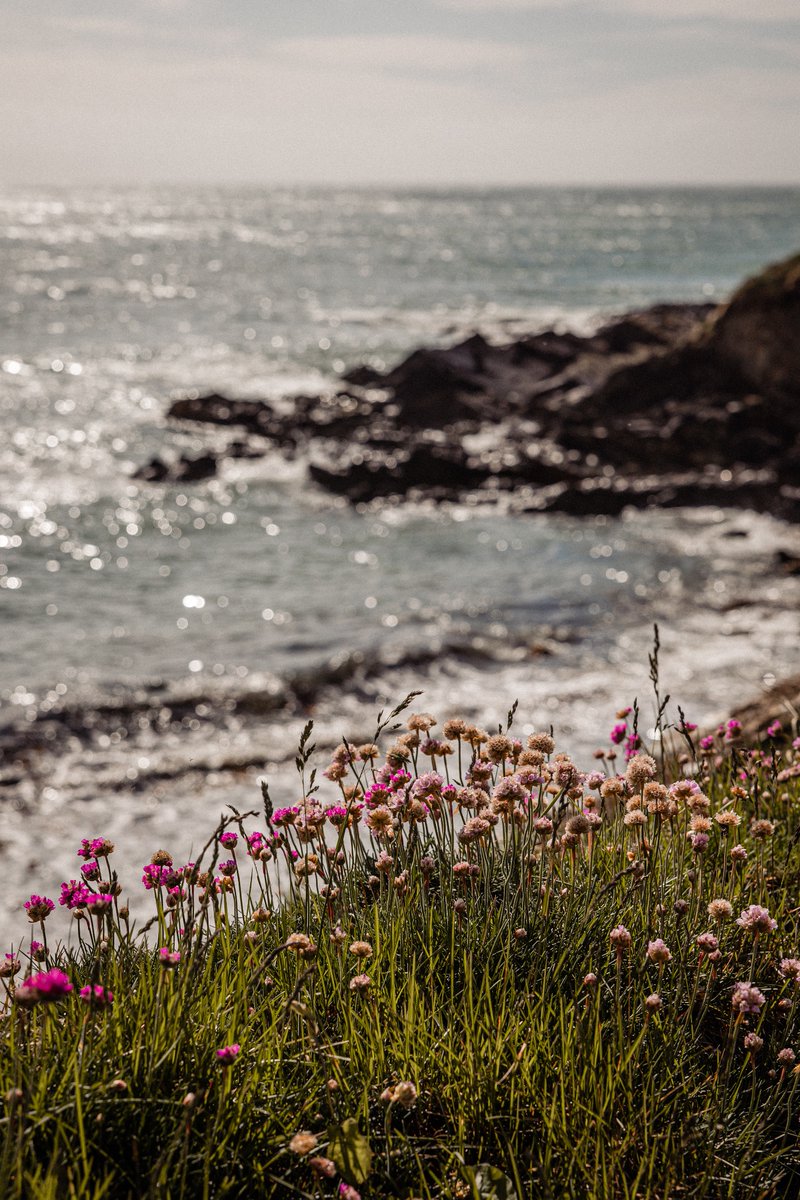 Wishing everyone a very happy Easter from Clonakilty Bay! We look forward to beautiful, bright days to come on the Wild Atlantic Way! #DunmoreHouse #WestCork #ClonakiltySoul