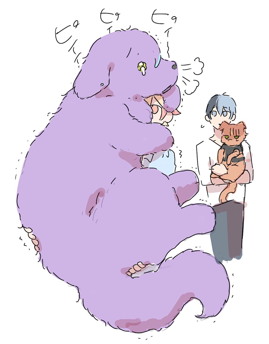 hukuma6's tweet image. 予防接種kmsr犬