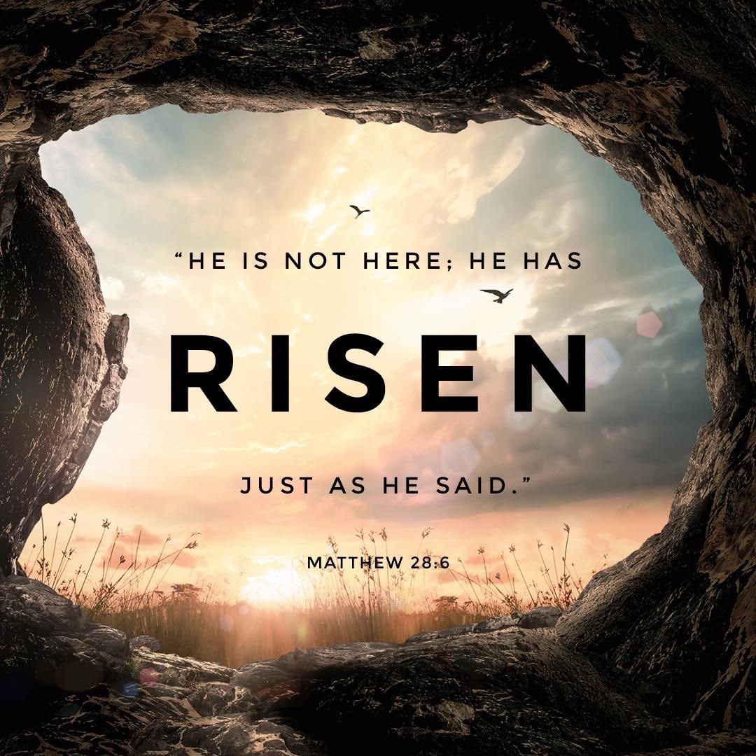 👆🏼HE IS RISEN!! Rejoice! 👏🏼✝️🙌🏼 Celebrate 🙌🏼 the Resurrection of The Lord Jesus! ✦ . ⁺ . ✦ . ⁺ . ✦ . ⁺ Receive His free 🎁 gift🩸✝️ of Salvation today. 🙏🏼👆🏼✝️👉🏼😇⏳ 👉🏼B E L I E V E👈🏼 ✦ . ⁺ . ✦ . ⁺ . ✦ . ⁺ 📖 And the angel answered and said unto the women, “Fear…