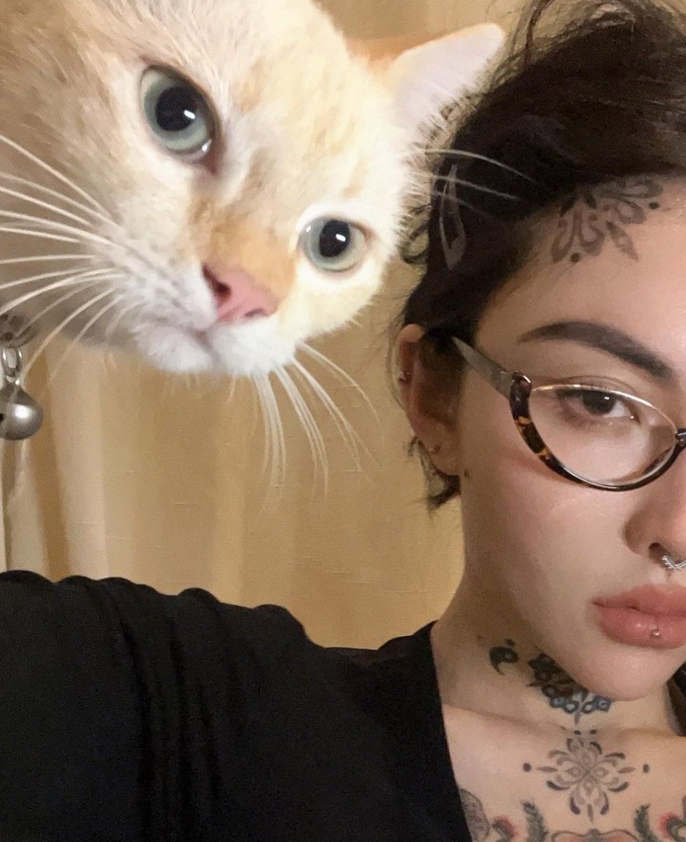 E0DISD0NC's tweet photo. 👥𝐢𝐧𝐬𝐭𝐚𝐠𝐫𝐚𝐦
🪱_𝑥𝑚𝑖𝑒𝑙    ⠀⠀             ⠀xxx👁️   ⠀⠀             ⠀   ⠀⠀             ⠀   ⠀⠀#SeductiveCat https://t.co/SLjqfW5jJE