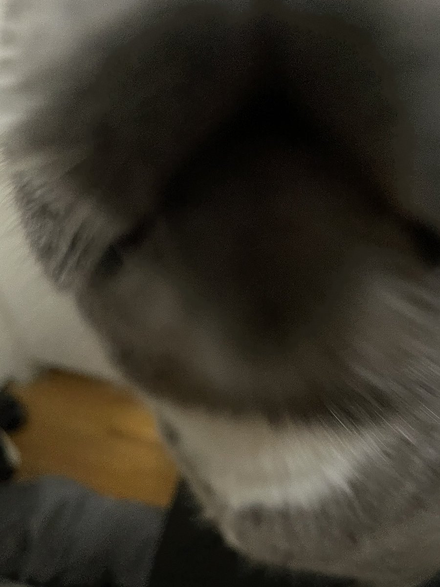 skateboredom's tweet photo. something to behold https://t.co/GPHXxpFol3