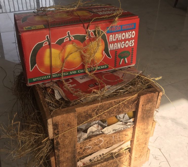 RamRamSa_10's tweet photo. Summer has officially arrived 🧡🥹

#Hapoos🥭 https://t.co/0OFQ00lxvX
