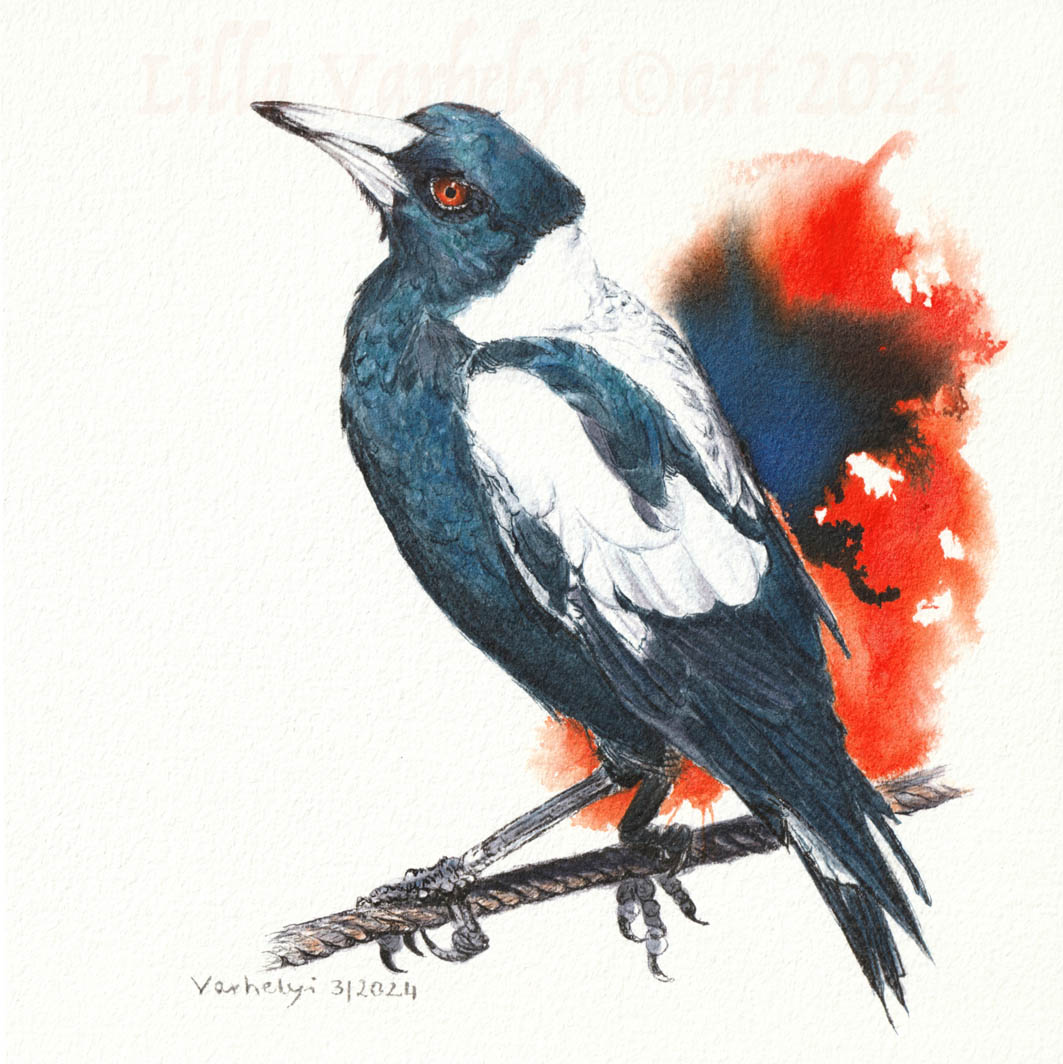 Hab ein neues #Tuschebild 😊 #Rabenvogel  Nr.24  New #Inkpainting ForSale 18x18cm
#artforsale #tusche #kunstkaufen #jackdaw #wildlifeart #kleineKunstklasse #wildlifedrawing #vogel #originaldrawing #vogelliebe #birds #originalart #dohle #birdart #BirdsOfTwitter #vögel #kunstkaufen