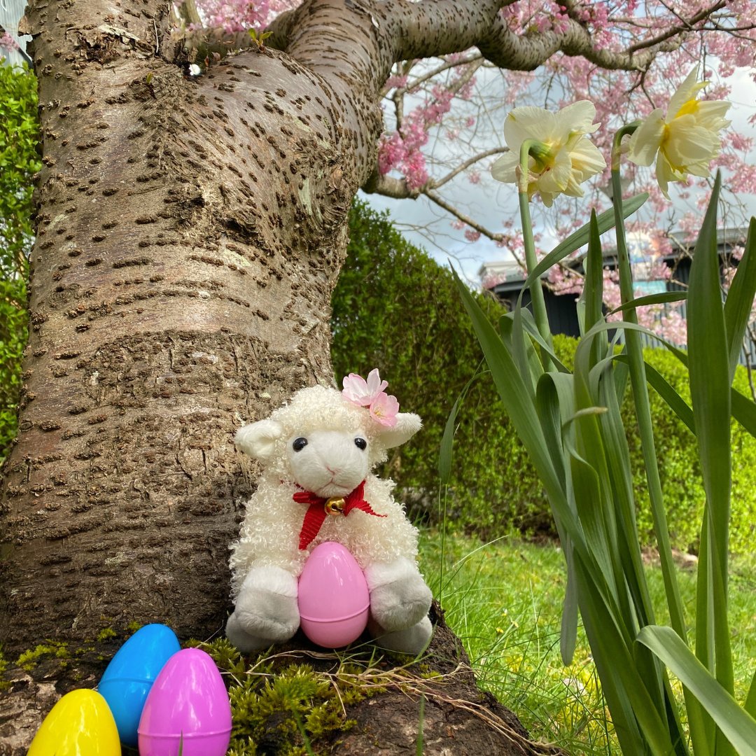 Wishing a happy Easter to those who celebrate, and a happy Spring to all! 🌸 🐣 🌱