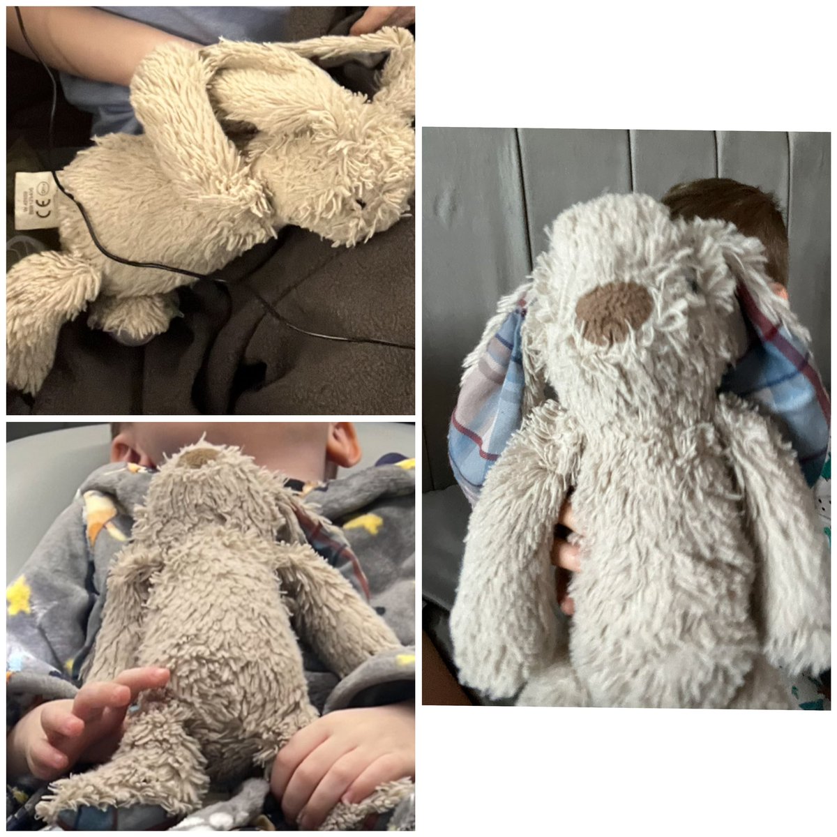 ChloeBarr93's tweet photo. Can anybody help find Floppy or a replacement left on flight EK021 that landed at 06:15 30.03.24 in Manchester airport, may have been gathered up with the laundry #emirates  #manchesterairport #missingteddy #missingtoy #findfloppy https://t.co/ydDoOdxqxR