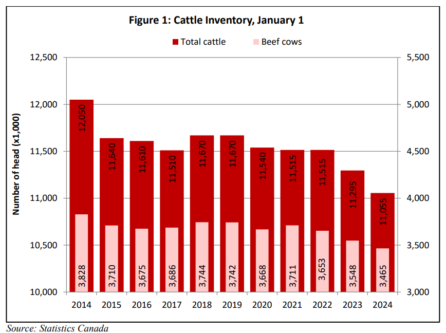 Importante caída en stock bovino canadiense 🇨🇦

Trayectoria similar a la del stock en EEUU

apps.fas.usda.gov/newgainapi/api…