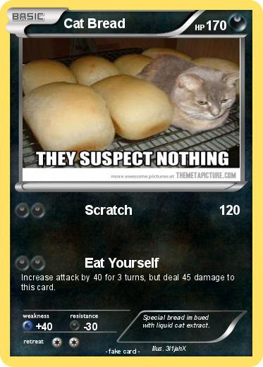 SolanaCatBread's tweet photo. *RARE* !COLLECT THIS!

Legendary CatBread playing card https://t.co/ezegDkqJNT