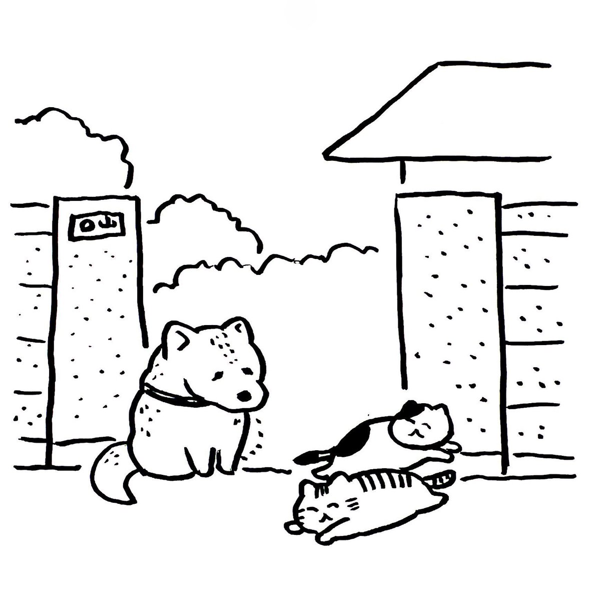 ひさびさにあの天国の家の前を通りがかったら…

仲間が増えてた 