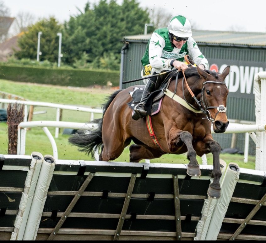 🟢⚪️ Mr Freedom runs today @plumptonraces in the Sussex Champion Hurdle @betgoodwinuk #horseracing #horseownership #winningsyndicate @RSAsyndicates @AffordablePship @TheSheenaWest @mgoldie111 @AtTheRaces
Good luck to all his connections🏇