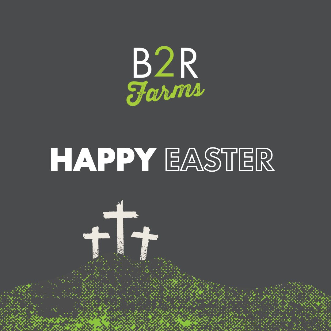 Wishing you a blessed Easter filled with love, peace, and joy!