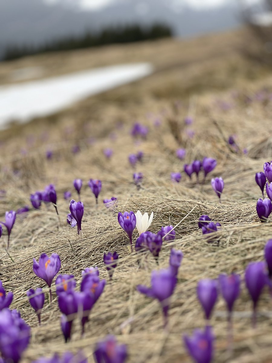 вчора був дуже красивий день💜