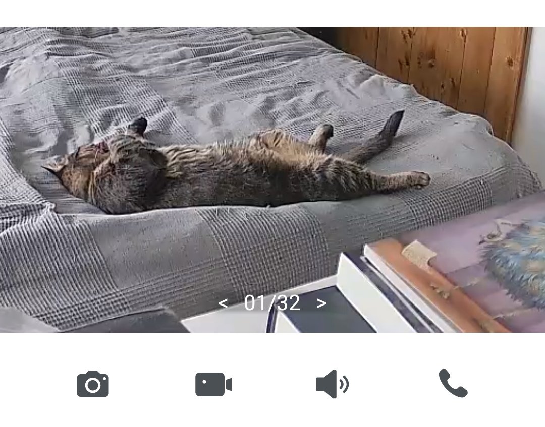 Was die Kater so machen, wenn die Dosenöffner nicht im Haus sind 😻

#chilligersonntag #entspannen #chillen #catstagram #katzen