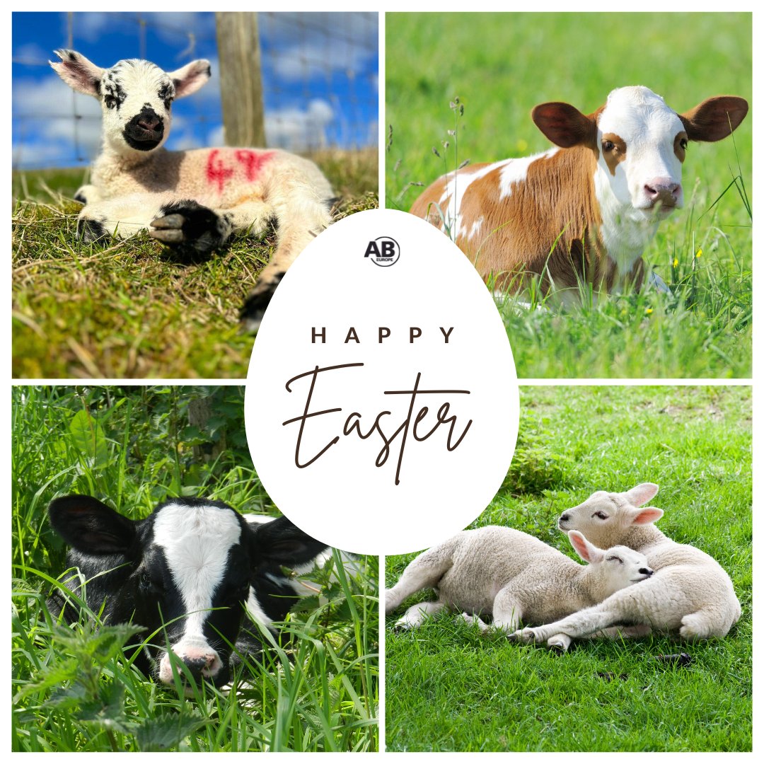 AB Europe tweet media