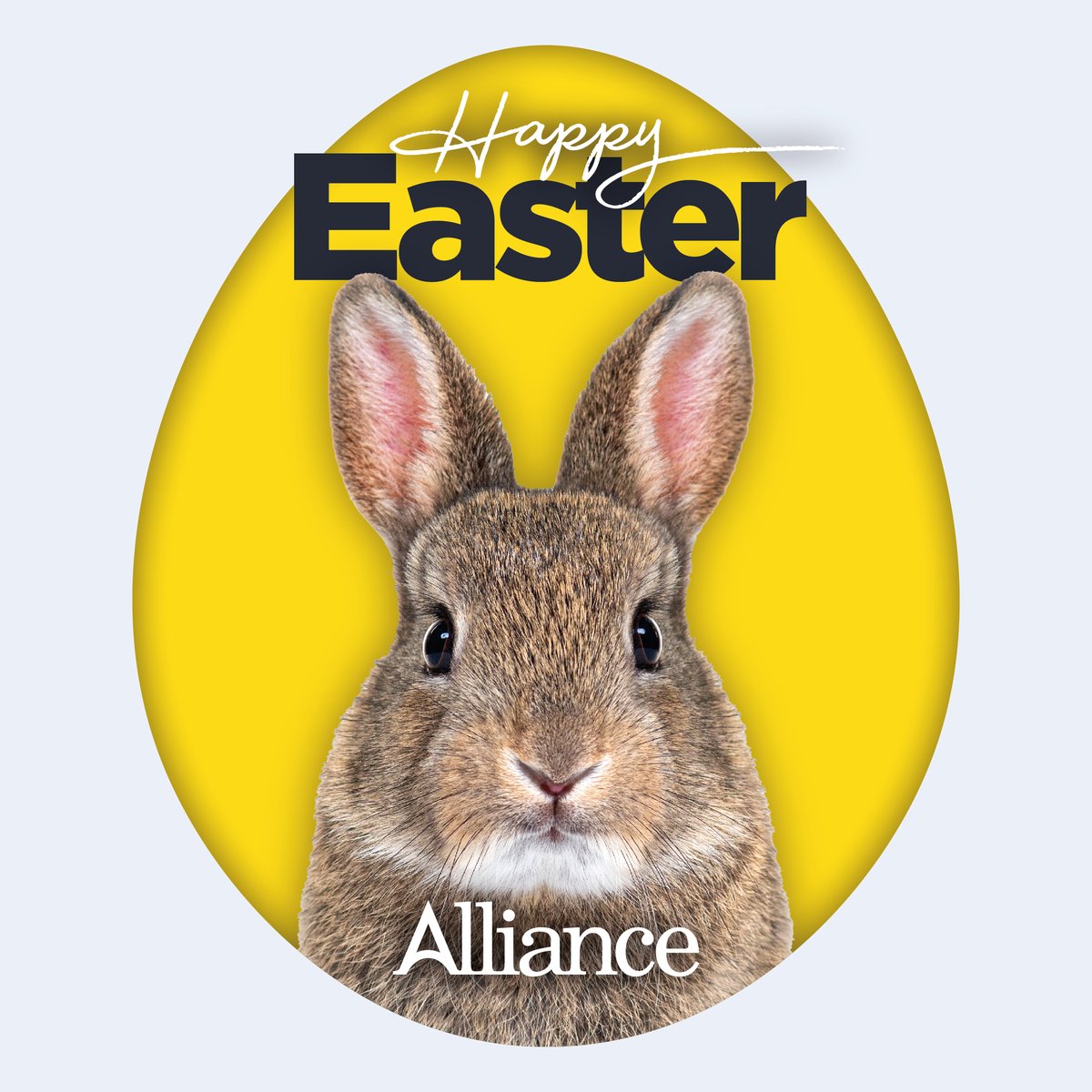 Happy Easter from everyone at Alliance! 🐣