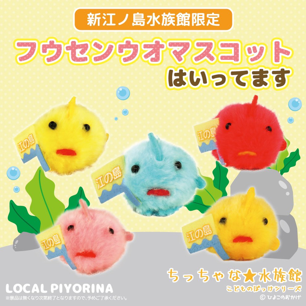 新江ノ島水族館でしか手に入らない フウセンウオマスコットが登場