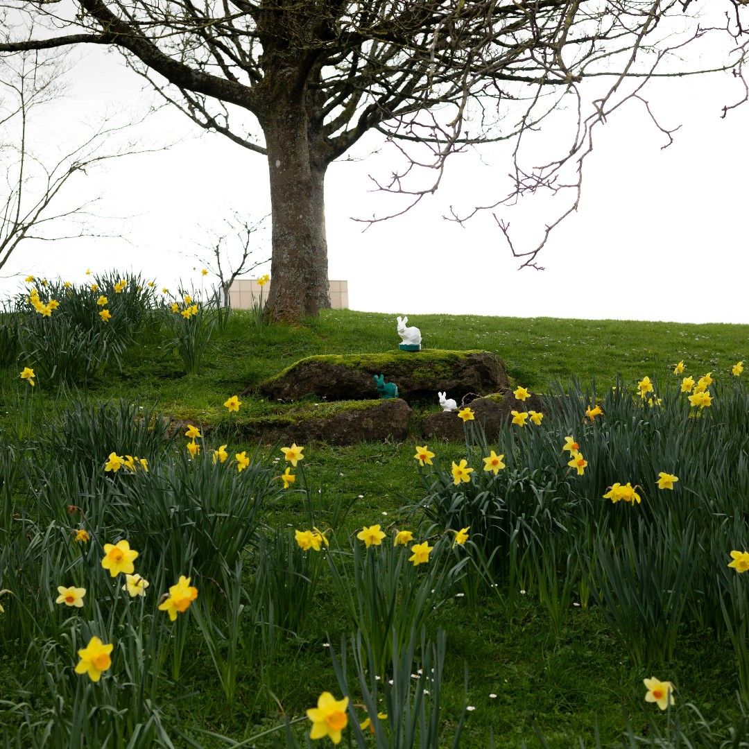 Happy Easter!

Our 3D printed 🖨️ rabbits 🐇 are enjoying the arrival of spring on campus.

#easter #3dprinting #easterbunny #spring