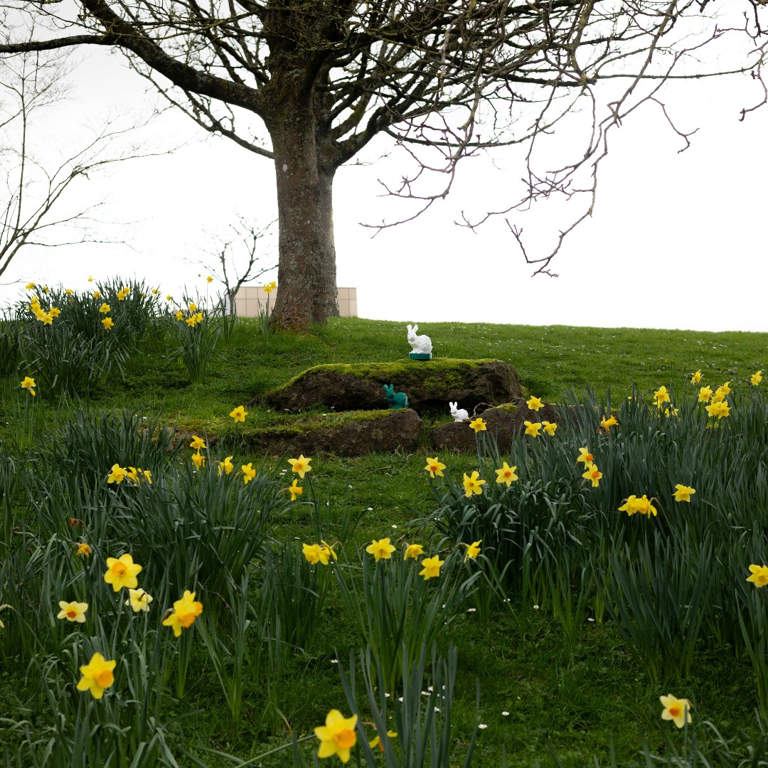 Happy Easter! Our 3D printed 🖨️ rabbits 🐇 are enjoying the arrival of spring on campus. #easter #3dprinting #easterbunny #spring