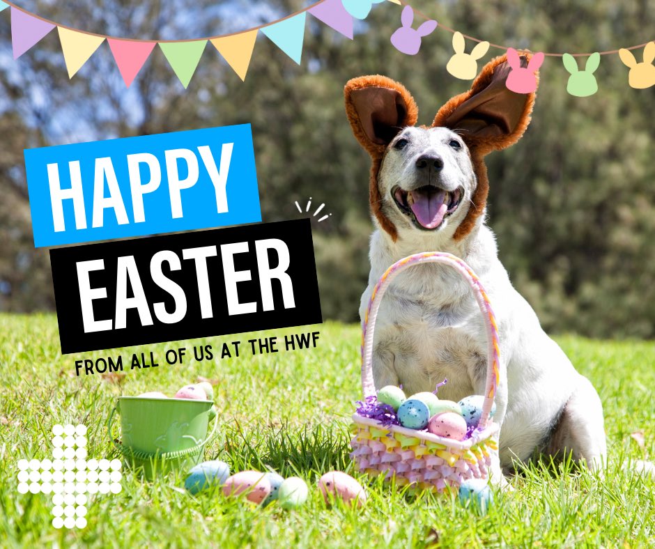 Happy #Easter! We hope you all have a fantastic day. We also want to say a huge #thankyou to our hard working #healthcareworkers, you are doing an incredible job and we are immensely grateful! Thank a healthcare worker this Easter tinyurl.com/mr469cbb 🍫⛪️🐣🐰💙