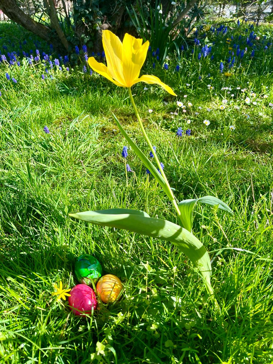 Ich wünsche allen Kölnerinnen und Kölnern ein wunderbares, frohes Osterfest!