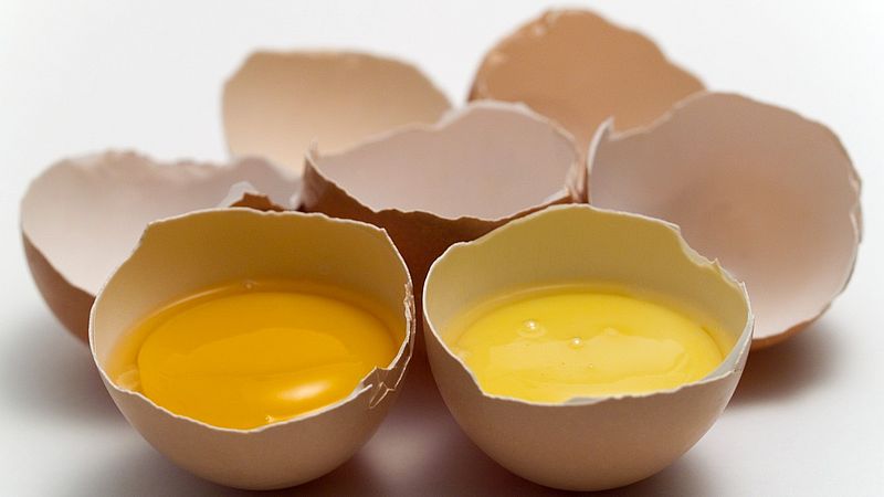 Jeder kennt das #OsterEi. Doch wieso ist der Dotter der #Eier manchmal heller und manchmal dunkler? Dies liegt an den Carotinen im Futter. Die Färbung sagt aber nichts über den Gesundheitswert aus. Ob dunkler oder heller Dotter, beide sind gesund.
➡ fcld.ly/pxepx8n