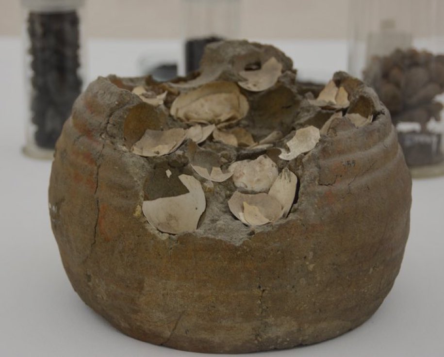 pompei79's tweet photo. Happy Easter! 
The astonishing remains of eggs from the House of Julius Polybius, #Pompeii that became encased in volcanic ash during the eruption of Vesuvius in AD 79. 🥚🥚🥚 
#EasterSunday https://t.co/nmK96r7DQZ