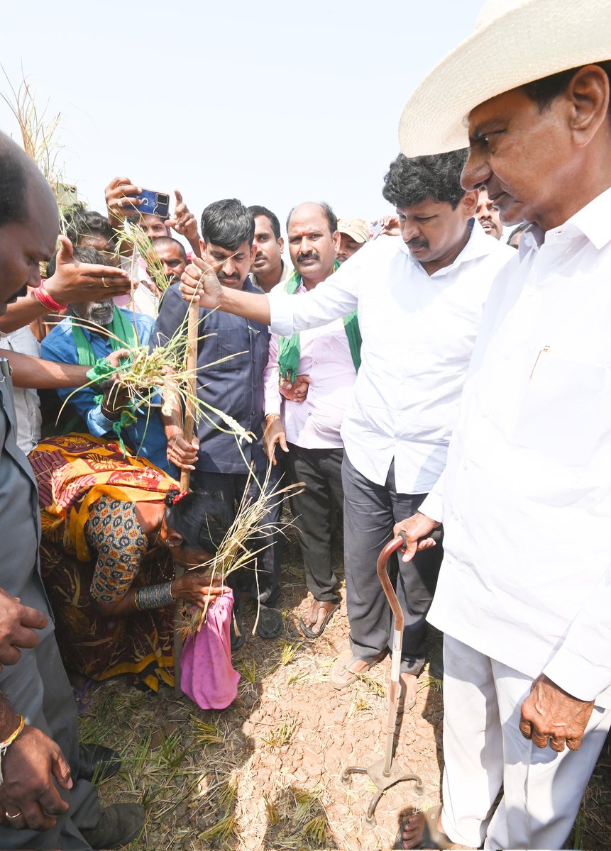 సూర్యాపేట జిల్లా, తుంగతుర్తి మండలం వెలుగు పల్లి గ్రామంలో SRSP ఆయకట్టు కింద ఎండిపోయిన పొలాలను పరిశీలించి, రైతులను వివరాలను అడిగి తెల్సుకున్న బిఆర్ఎస్ అధినేత.. కేసీఆర్. పాల్గొన్న మాజీ మంత్రి, సూర్యపేట ఎమ్మెల్యే జగదీష్ రెడ్డి.