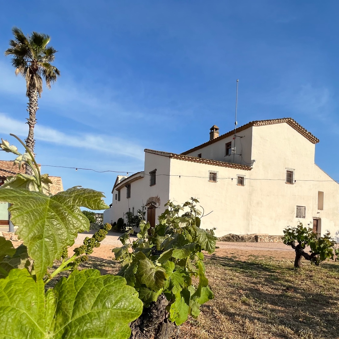 MasLlagostera's tweet photo. Bon dia de Pasqua! https://t.co/sHGNnnSVtN