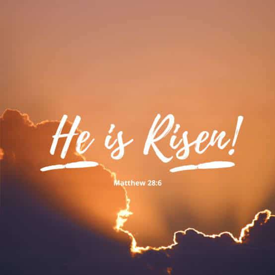CrossDonee's tweet photo. Matthew 28:6
[6]He is not here; he has risen, just as he said. Come and see the place where he lay. Hallelujah! https://t.co/BxbsHxUdFR