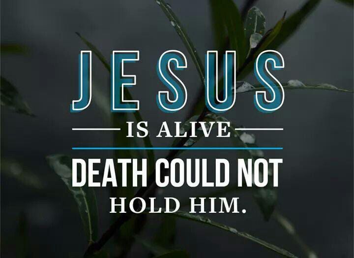 CrossDonee's tweet photo. Matthew 28:6
[6]He is not here; he has risen, just as he said. Come and see the place where he lay. Hallelujah! https://t.co/BxbsHxUdFR
