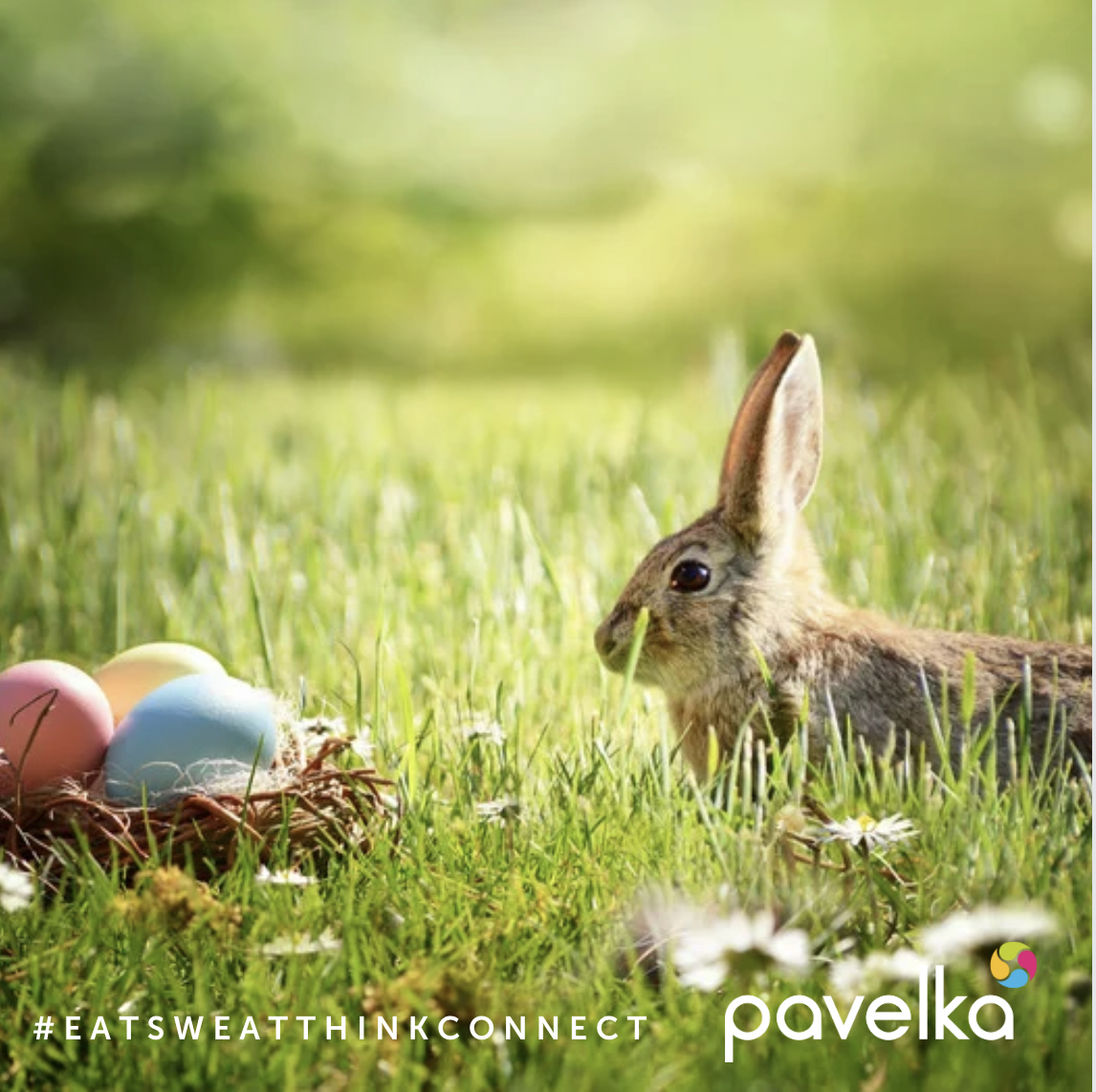 Wishing everyone a joyful Easter holiday filled with love and laughter! May this special time bring you closer to family and friends, and remind us all of the beauty of renewal and hope. Happy Easter! 🐣🌷 #Easter #FamilyTime #Connect