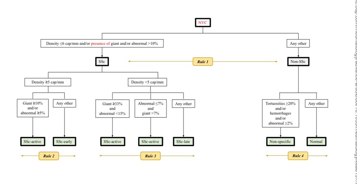 CAPI-SCORE arrives: First OBJECTIVE algorithm in Capillaroscopy! Published in Rheumatology: pubmed.ncbi.nlm.nih.gov/38530791/