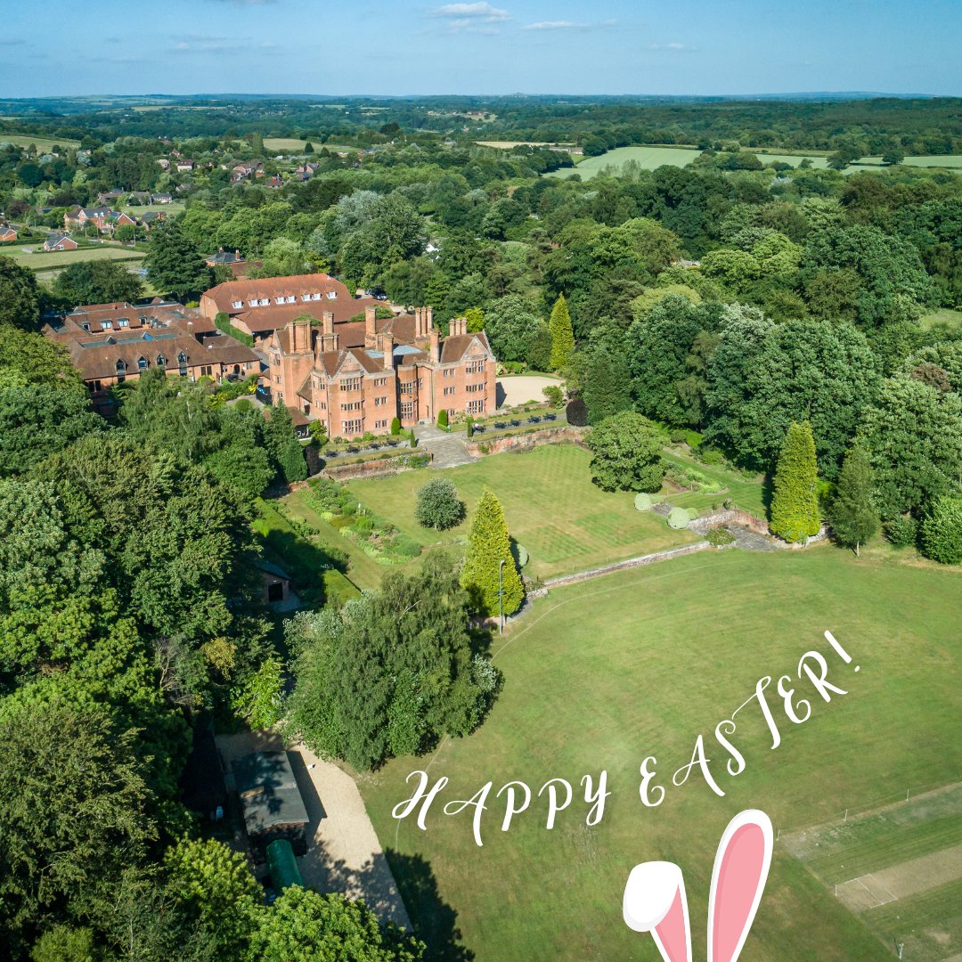 New Place Hotel tweet media