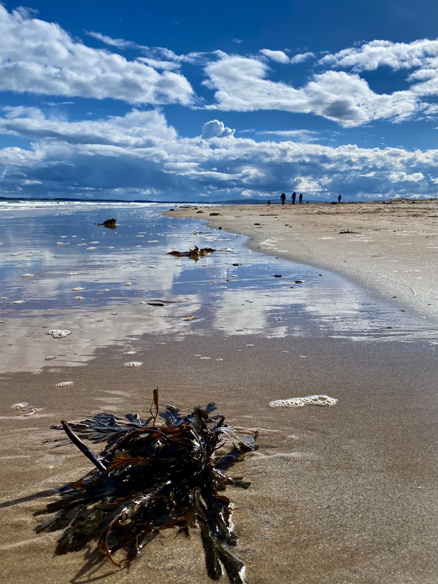 What a cracking day yesterday & looks to be another sunny one today. 
Happy Easter folks 🫶🏻🏴󠁧󠁢󠁳󠁣󠁴󠁿🐣

#VisitScotland #venturenorth #dornoch #scotlandisnow #scottishscenery