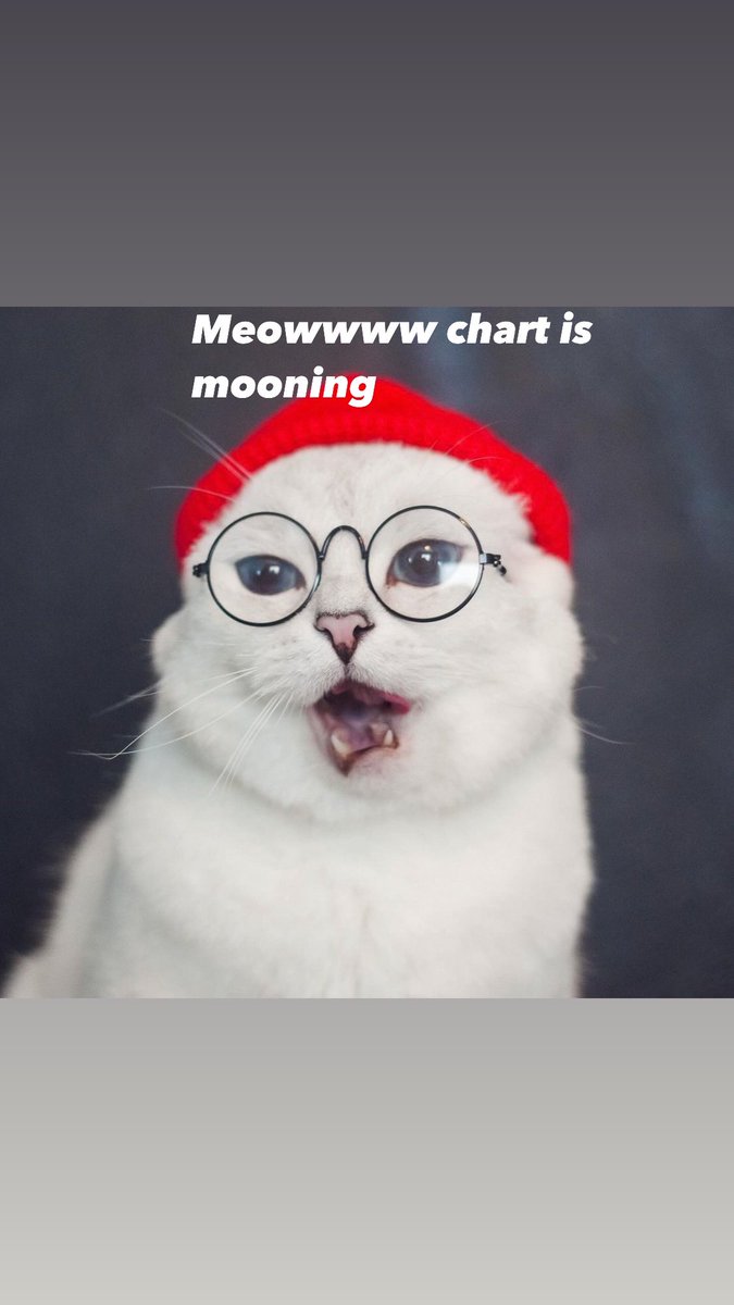 BeanieCatX's tweet photo. $BEANIE ‘s Chart looking really bullish ! https://t.co/FVlDYs9pax