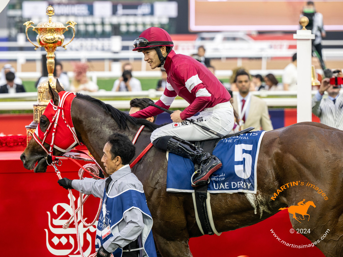 FOREVER YOUNG 🇯🇵 with jockey Ryusei Sakai remained unbeaten with 4th win in a row in G2 UAE Derby @RacingDubai 🏇#HorseRacing #DubaiWorldCup 🏆🇦🇪 #sportsphotography #Nikon