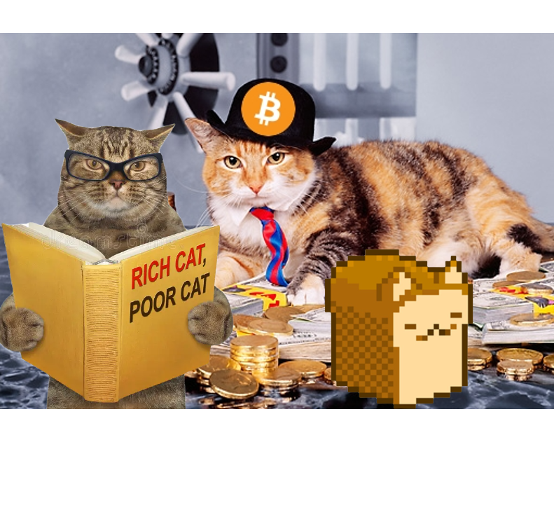 LoafCatHQ's tweet photo. Choose your team carefully. 

$LOAF cats, rich cats.  

$SOL cat meta https://t.co/iuivQDLC8W