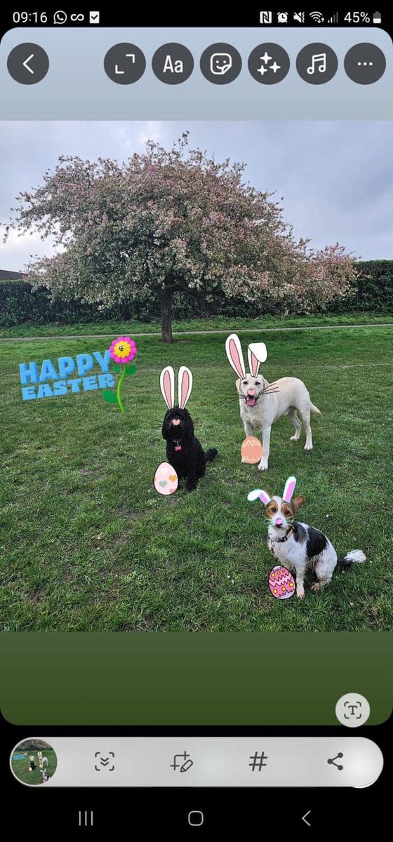 Happy Easter from Cosmo and his friends!