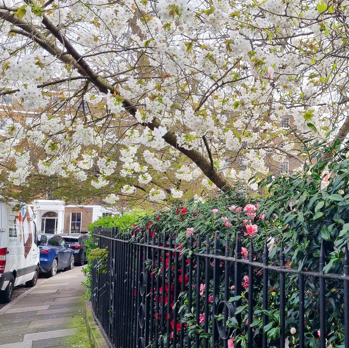 Manchester Square, Marylebone, London - March 2024