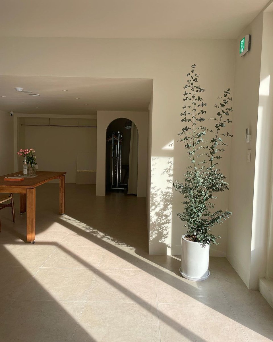 젠 카페 스튜디오 tweet media