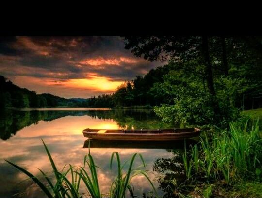 زندگی میں کبھی

برے وقت کا سامنا ہو جائے تو خاموش رہنا

ورنہ یہ دنیا تماشا بنا دیتی ہے