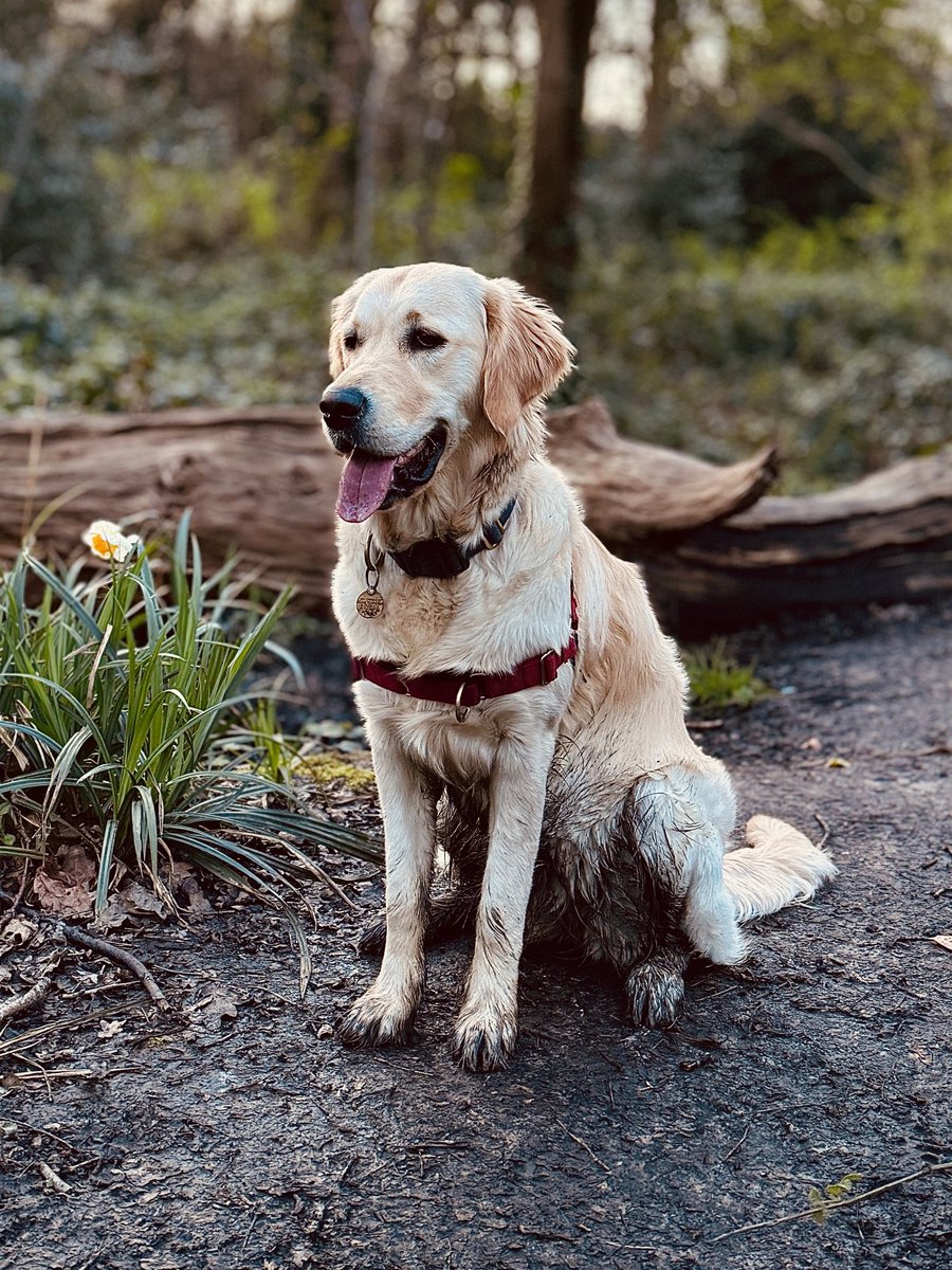 The goodest Easter egg 🥚