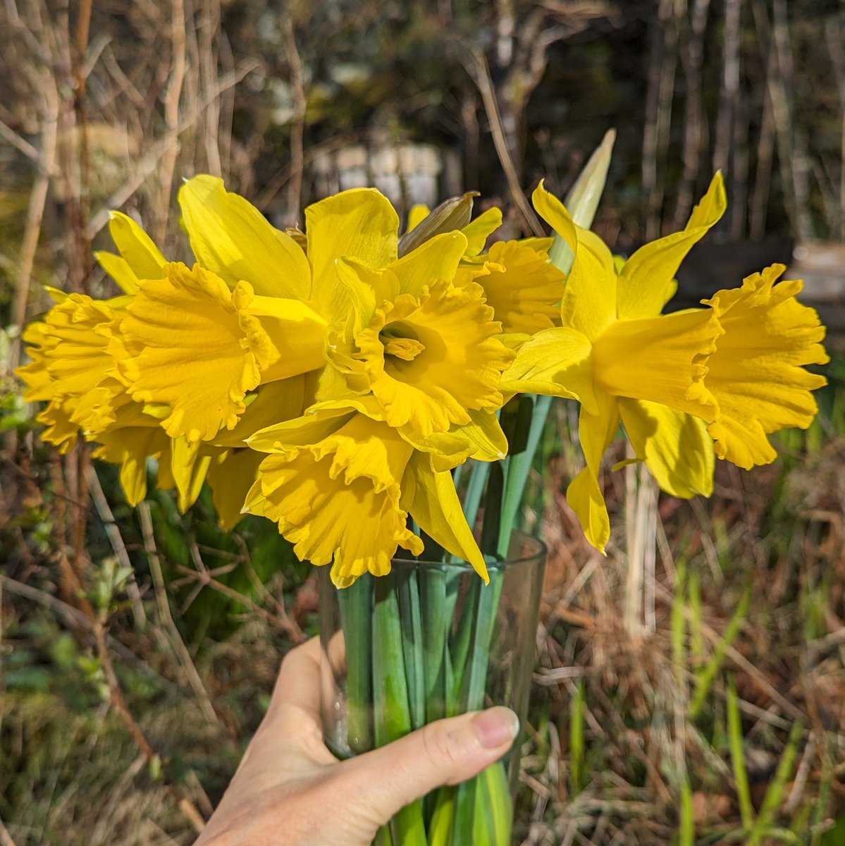 Merry Spring! 🌱🐝💚🌼