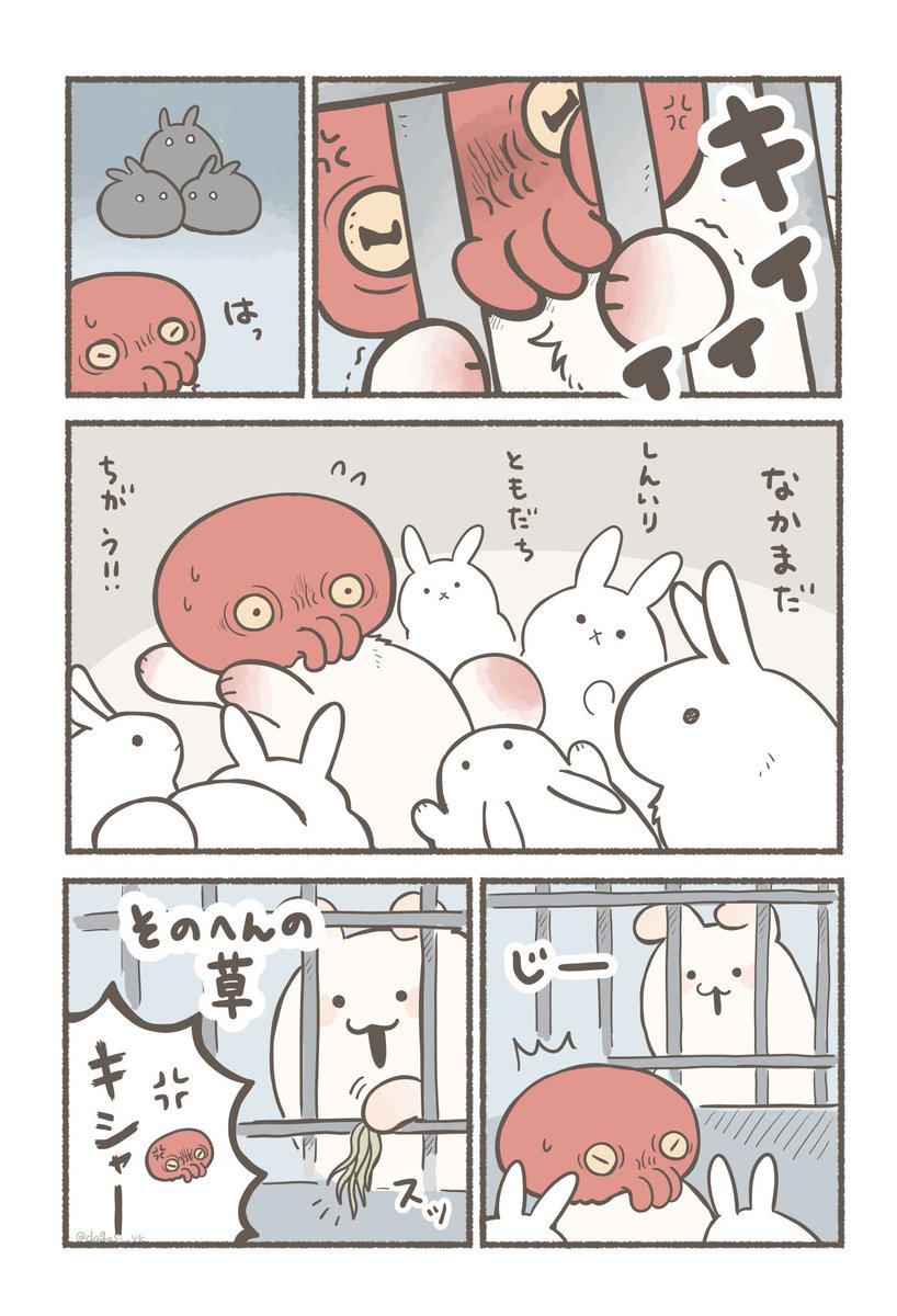 うさぎ小屋に入れられてしまったたこうさ 