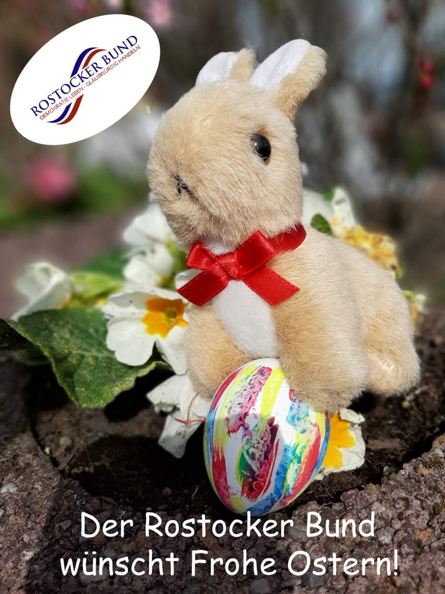 Rostocker Bund (@bundrostocker) on Twitter photo 